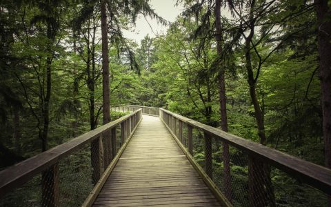 Go for a Walk, It Makes You Less Stressed