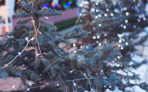 Donate Christmas Tree and All of Its Trimmings